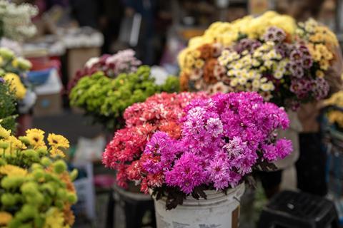 Florist flowers